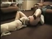 Zoophilia Porn - Obedient dog can't live without licking its mistress' slit